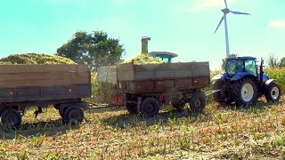 Kukurydziana Sieka 2016 |ŁÓDZKIE| Claas Jaguar 820 2xNH Valtra JD Zetor Ursus |