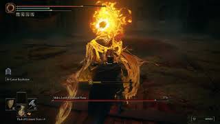 Midra, Lord of Frenzied Flame - Elden Ring, Shadow of the Erdtree (Parrying)