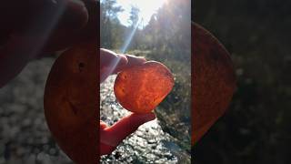 I Found this Amazing Carnelian in the Creek!!😍