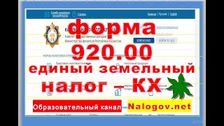 Заполнение декларации для КХ форма 920.00. Онлайн ККМ обязателен.