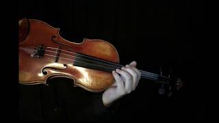 Violin Left Hand Basic Motion 101