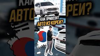 Как привезти автомобиль из Южной Кореи?🇰🇷 Если у вас остались вопросы, пишите их в комментариях!