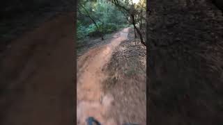 Mountain Biking the Pine Hill Trails in Fairhope Fall 2024 #emtb