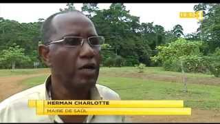 saul 2013 guyane orpailleurs