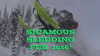 Sicamous PPSM Sledding Feb 2016