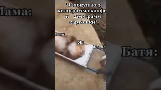 #funny #врекомендации #funnyvideo