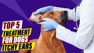 Dog Itchy Ears: A Quick Guide to Home Remedies and Vet Care