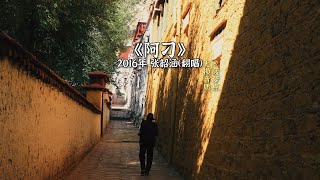 每日音乐推荐丨《阿刁》 2016年 张韶涵（翻唱）