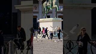 Naples Italy Piazza Plebiscito #tourism #italy #napoli