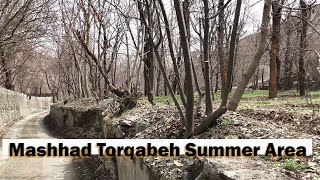 Mashhad Garden Alley is one of the tourist attractions of Mashhad