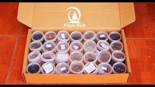 Cactus & Succulent Seed Bank