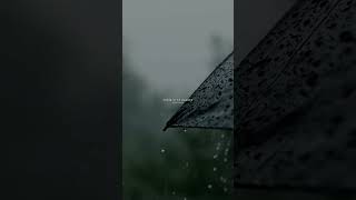 Ye Mausam Ki Barish 🌧️🩵 - Aesthetic lyrics Status 🍂 | Slowed and Reverb Songs 💝 | #shorts