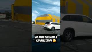 Dairy Queen Has Rats 😳🤦🏿‍♂️ #funny  #comedy #shortvideo #fastfood