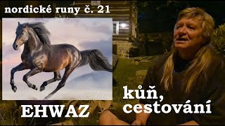 Nordické runy č. 21: runa EHWAZ, kůň, cestování a putování