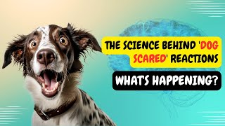 The Science Behind 'Dog Scared' Reactions: What's Happening?