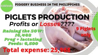 Ang Kita Sa Pag aalaga ng Inahing Baboy | Piglet Production Costs & Profit | NEGOSYONG BABUYAN