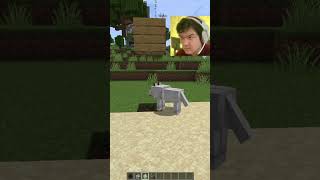 Minecraft Wolf Moment 2