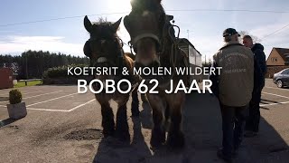 Bobo 62