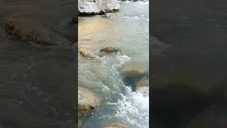 Water Flow With Natural Beauty |Short| #youtube #youtubeshorts #ytshort