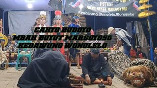 pembukaan cahyo budoyo wonolelo wonosono