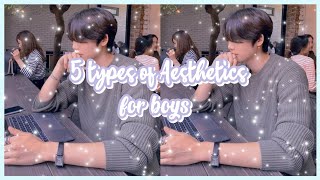 5 Types of Aesthetics for BOYS ✨