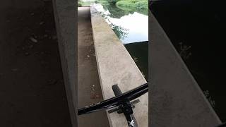 Barspin off high ledge next to river BMX