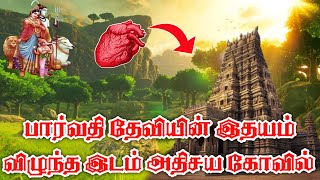 இதயம் விழுந்த இடத்தில் கோவிலா? |  மர்மங்கள் நிறைந்த அதிசய ஹரித்வார் கோவில் பற்றி உங்களுக்கு தெரியுமா