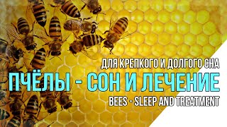 Пчелы 1 час. Сон и исцеление. Звуки природы для Сна.  Sounds of Wildlife for Sleep.