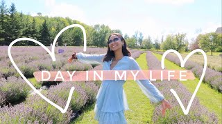 A DAY IN MY LIFE: LAVENDER FIELD, PICNIC & BLUE MOUNTAIN | Greta Onieogou