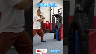 Push Kick Strike #martialarts #sanda#boxing#kungfu#Self-defense #shaolinkungfu