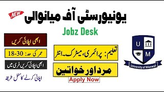 University of Mainwali Jobs 2022 - Jobz Desk