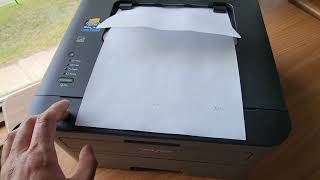 how to manually self check page on Brother Hl-L2300d Compact Laser Printer With Duplex