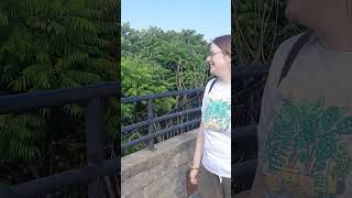 Cohoes waterfalls...a very beautiful  and peaceful place #youtube #short #ytshorts #shorts #viral