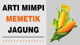 Arti Mimpi Memetik Jagung