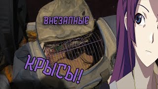 Внезапные КРЫСЫ! Пополнение стаи!