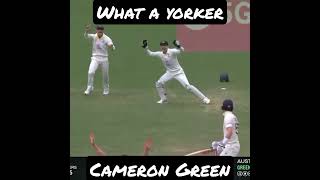 Awesome Yorker by Cameron Green 🔥 #Cricket #Shorts #Virals