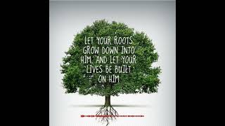 Rooted In Christ (Col. 2)