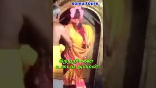 நெற்றி கண் உடைய அம்மன் தீபாராதனை #shortsfeed #shorts #shortsvideo