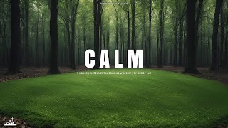 CALM // INSTRUMENTAL SOAKING WORSHIP // SOAKING WORSHIP MUSIC // PIANO WORSHIP MUSIC