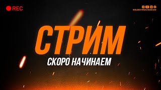 Праздничный стрим, общение + розыгрыш плазмореза