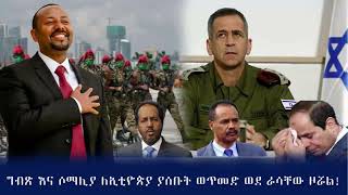 ግብጽ እና ሶማሊያ ለኢቲዮጵያ ያሰቡት ወጥመድ ወደ ራሷ ዞሯል!