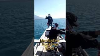 MANCING IKAN MONKEY-PU, Part.2. #mancing #fishing #mancingmania #shorts #adonara