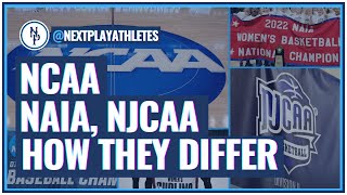 Comparing The NCAA, NAIA, NJCAA - What's The DIFFERENCE?