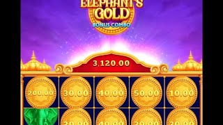 Elephant gold casino big win