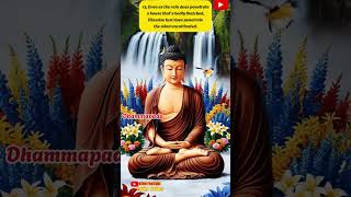 Dhammapada 13