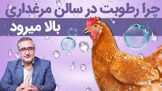 چرا رطوبت سالن در مرغداری بالا میرود