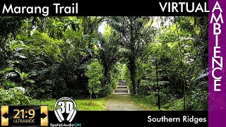 Singapore Ambience - Marang Trail Entrance