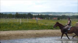 Geländetraining Waitzacker Nency