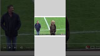 BEAR Invades Football Field