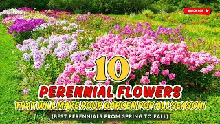 🌼 10 PERENNIAL FLOWERS THAT WILL MAKE YOUR GARDEN POP ALL SEASON! 🌸🌷🍁